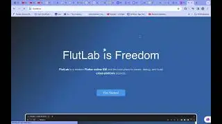 Flutter_1_365_course (introduction)