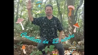 Cueillette de champignons ce 23 octobre