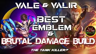Vale and Valir's BRUTAL Damage Build |The TANK KILLER?