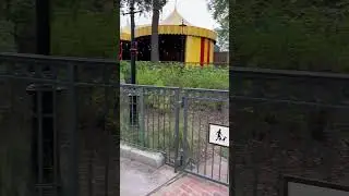 Best Pet Relief Area In Walt Disney World Is In Mickey's Toon Town Fair.