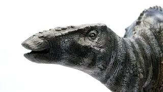Mandschurosaurus
