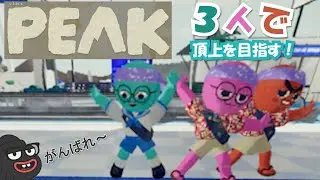 【協力登山】３人で協力して頂上を目指そうとしたら...(PEAK)