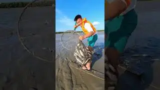 Ep. 358: Rainy Season Fishing - Catching Fish After Heavy | #WildRiverPOV #NatureShorts #AnimalWorld