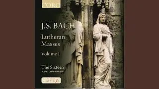 Herr, deine Augen sehen nach dem Glauben!, BWV 102: Aria, 