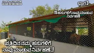 ನಮ್ಮ ಹಸುಗಳ ನಿರ್ವಹಣೆ ಮತ್ತು ಮಾಹಿತಿ | ಭಾಗ 3 | Dairy business plan in India | Dairy farming in karnataka