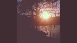 Sunshine Drive