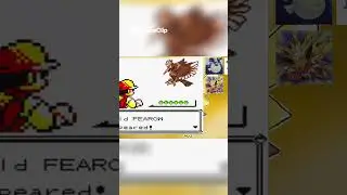 Leveling Up HAWK  DRILL PECK Dominates Wild Pok&eacute;mon Battles!