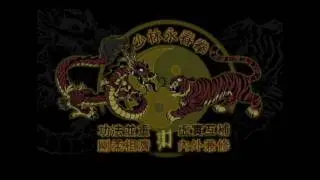 Shaolin Weng Chun Jong Kuen form