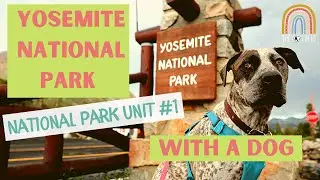 Yosemite National Park with a Dog