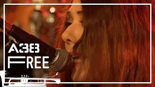 The Ministry of Wolves - The Frog Prince // Live 2014 // A38 Free
