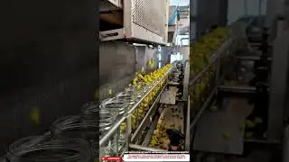Best Innovative Automatic Jar Filling Machine for Food Industry