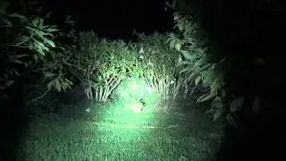 Thrunite Archer 1C - Beamshot + Strobo