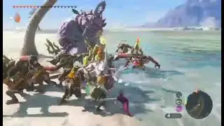 ToTK beach fight
