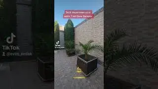 Qara Qarayev mərkəzi yolun usdu 7 sot 600 kv 7 otaq dəyərindən ucuz satılır 📲050-540-40-10