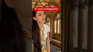 Disclaimer: no cats were hurt in the making of this video #harrypotter #skit #comedy