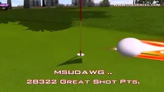 Golden Tee Great Shot on Desert Valley!