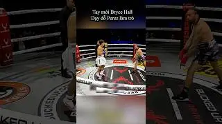 Pro Boxer T&Aacute;T đối thủ, ăn c&uacute; Knockout CAY ĐẮNG trước YouTuber Bryce Hall | BLV V&otilde; Thuật