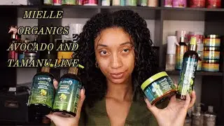 NEW Mielle Organics Avocado 🥑 + Tamanu🥥 Anti- Frizz Line | Review and Demo