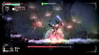 Salt and Sanctuary Boss 15 Ronin Cran