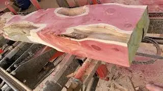 Funky cedar log cut into beautiful slabs on the Timberking sawmill
