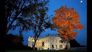 Is expanding presidential power inherently bad for democracy?