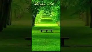 The Questions That Awaken the Soul , A Journey Beyond Ordinary Life.