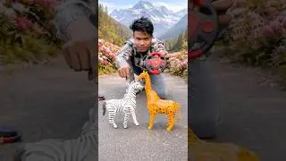 Rc giraffe vs zebra remote control unboxing #shorts