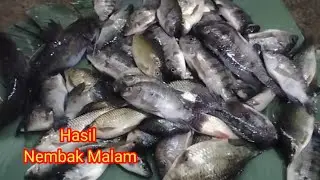 Nembak Ikan Malam Hari di Spot Sungai Dangkal Bikin Candu