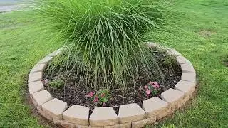 May cottage garden tour Part 1