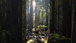 Autumn hike - Goose River Preserve Midcoast Maine 2025