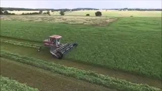 cutting lucerne