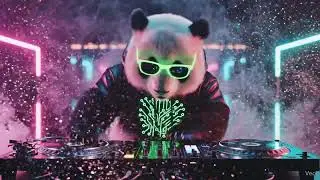 EDM Music Mix 2025 🎧 Bass Boosted EDM Remixes 🔥 Best EDM Songs for Workout & Party