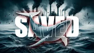 How Oil Saved the Whales and Could Save the Planet with eFuels!