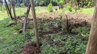 Ensure The security of your properties by putting a fence!!