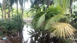 Jalan jalan didepan dan belakang rumah #jalanjalan #belakangrumah#depanrumah   live sekarang!