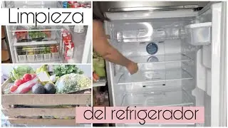 LIMPIEZA Y ORGANIZACION DEL REFRIGERADOR/VERDURA Y FRUTA HASTA MI CASA DESDE LA CENTRAL DE ABASTOS