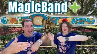 Magic Band Plus | MagicBand+ Release Day At The Magic Kingdom Emporium! New Bands Statue Interaction