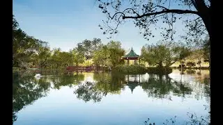Rediscover Montelena