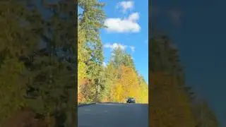 Relaxing Road Trip ASMR | Silent Nature Vlog & Peaceful Outdoor Escape | OutdoorZii