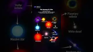 The Journey of a Star: Life, Death, and Rebirth