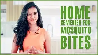 Home Remedies To Get Rid Of Mosquitoes Bites Scars & Allergies &ndash; Natural Treatments