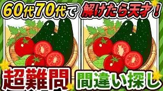 【間違い探しクイズ】⚠️むずかしいお野菜のイラスト編！脳活＆脳トレにおススメ無料ゲーム【アハ体験有り】#453