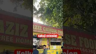 Laziz Chinese food cart #foodie #momo #gravymomos #college ￼￼