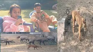 Delhi chidiya ghar / Delhi zoo park 2025 / Delhi zoo online ticket booking / national zoo park Delhi