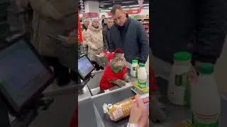 Котик работает за кассой в пятаке