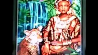 Water signs weekly Feb 22- 28 2016 Angel Oracle Heart Wisdom Reading THE POWER OF THE MOON!