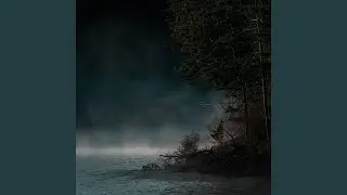 The Stillness