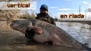 💥Vertical en riada 💥 ¿ Que tal ha salido? 💥 Fishing Vlog