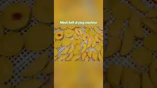 🚀 Gondor Continuous Mesh Belt Dryer Machine | Enhance Your Food Production Efficiency! 🍞🍓 #shorts