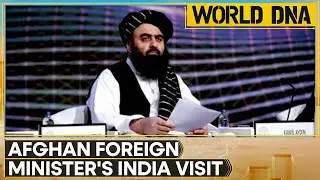 India-Afghanistan Ties: First Afghan Taliban Minister To Visit New Delhi Since 2021 | World DNA